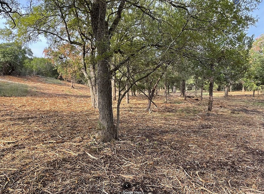 Legacy Oak & Tree Preservation
