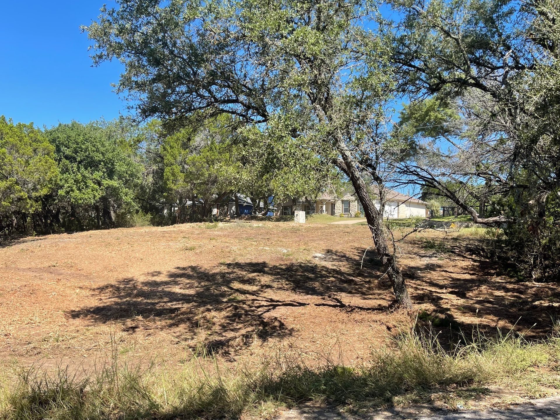 Professional underbrush and cedar clearing by HB Land Services